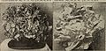 1901 Johnson and Stokes garden and farm manual (1901) (20384397808).jpg
