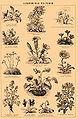 Brockhaus and Efron Encyclopedic Dictionary b2 548-0.jpg
