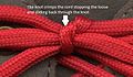 Red shoelace.jpg