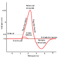 Action potential es.svg