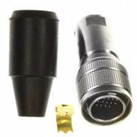 Plug, Male Pins (with contacts)