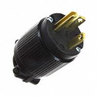 Plug, male Blades/Pins