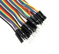 40 Pin Dual Male Splittable Jumper Wire - 300mm