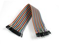 40 Pin Male/Female Splittable Jumper Wire - 300mm