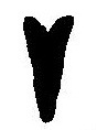 "AHM" Babylonian 1.jpg