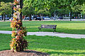 12-07-13-washington-by-RalfR-06.jpg