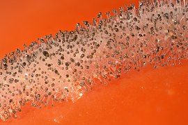 2017-02-04 22-49-16 moisissure.jpg