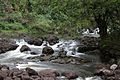 Stream near UMAUMA falls - panoramio.jpg