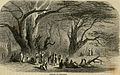 "From Dan to Beersheba"; or, The Land of promise as it now appears - including a description of the boundaries, topography, agriculture, antiquities, cities, and present inhabitants of that wonderful (14784436275).jpg