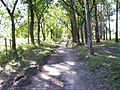 Vale -mountain bike - panoramio.jpg