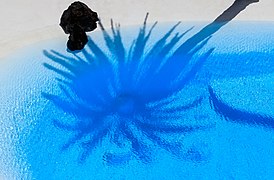 Jameos del Agua - Lanzarote -05.jpg