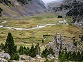 Benasque - Aigualluts - Llano 10.jpg