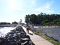 Playa Santa Aná - panoramio.jpg