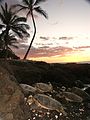 Sleeping turtles at Kohala - panoramio.jpg