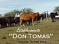 Corral "Ganado Vacuno" - panoramio.jpg