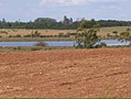 Forestación "Ensanche Sauce" - panoramio.jpg