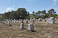 Alignement Kerlescan Carnac.jpg