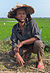 Rice Farmer in Hoi An, Vietnam.jpg