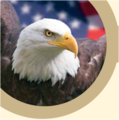 Wiki Eagle Public Domain.png