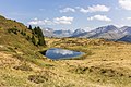 Scheideggseeli (1).jpg
