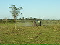 DEUTZ- desmalezando - panoramio.jpg