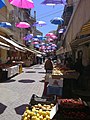 Strata a foglia 120518 (2).jpg