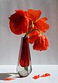 Poppies bouquet 2017 G1.jpg