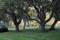 12-07-13-washington-by-RalfR-39.jpg