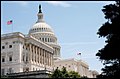 'Washington-Capitol-01.jpg