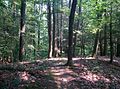 Blue trail - panoramio (1).jpg