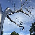 "Graft" by Roxy Paine.jpg