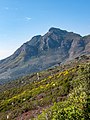 Devils Peak, Cape Town (P1050211).jpg