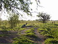 Valentin jugando - panoramio.jpg