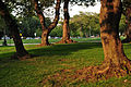 12-07-13-washington-by-RalfR-42.jpg