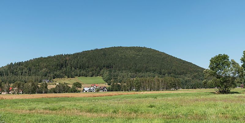 File:2016 Cieniak, Góry Złote, Sudety.jpg