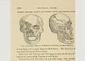 "Human Science" by Orson Squire Fowler.jpg