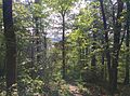 A bit of view - panoramio.jpg