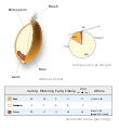 Wheat-kernel nutrition.svg