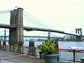 5.2.11BrooklynBridgeByLuigiNovi1.jpg