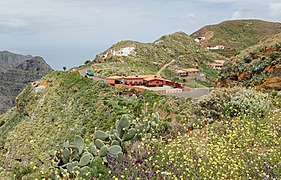 Chinamada - Tenerife 02.jpg