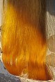 Silk fibers, Sopura Silk Mills Limited (01).jpg