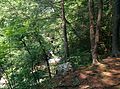 Above the creek - panoramio.jpg