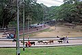 Shireeshtala, CRB (02).jpg