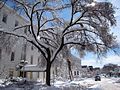 1st and C Street SE - Flickr - treegrow.jpg