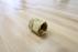 Hose Adapter 2