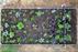FarmBot Genesis XL v1.5 Pre-Order