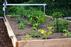 FarmBot Express XL v1.0 Pre-Order