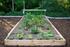 FarmBot Express XL v1.0 Pre-Order