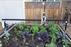 FarmBot Genesis XL v1.5 Pre-Order