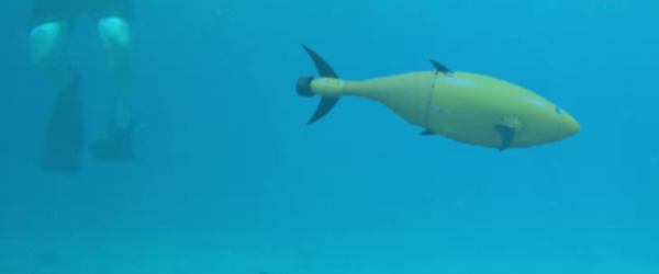 BIOSwimmer UUV The scientists choose tuna because it has a natural body framework ideal for unmanned underwater vehicles (UUVs), solving some of the propulsion and maneuverability problems that plague conventional UUVs. Inspired by the real tuna, BIOSwimmer is a UUV designed for high maneuverability in harsh environments, with a flexible aft section and appropriately placed sets of pectoral and other fins.